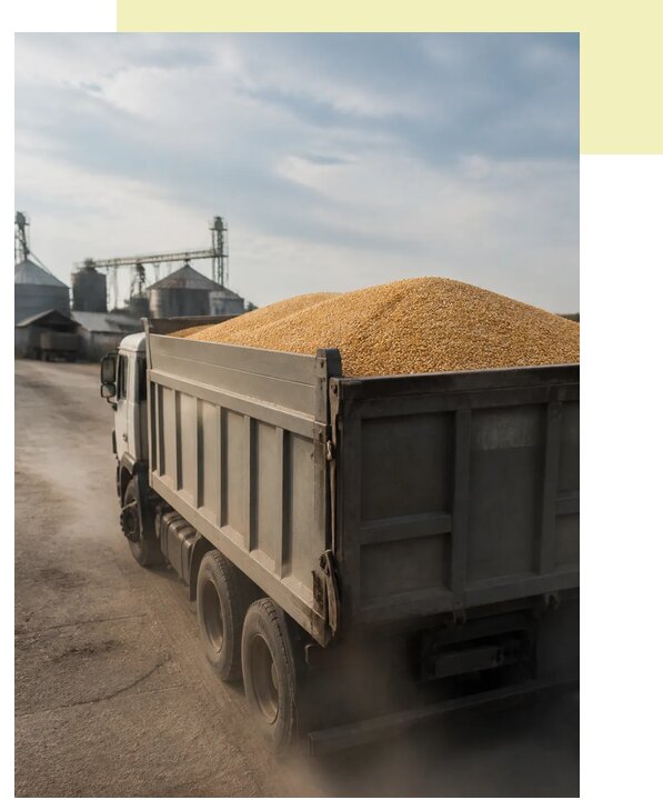 Перевозка сельхозпродукции навалом в Хабаровск по цене от 3086 р. | Агросервис-Хбр