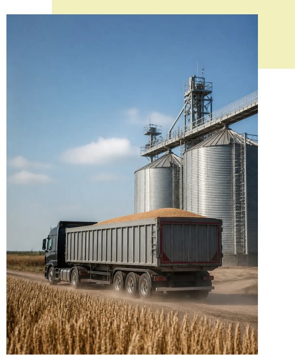 Перевозка ржи автотранспортом в Хабаровск по цене от 5504 р. | Агросервис-Хбр